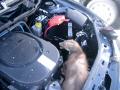 Marder im motorraum